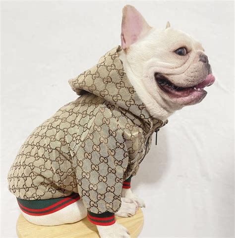 replica designer dog clothes|designer dog jackets for sale.